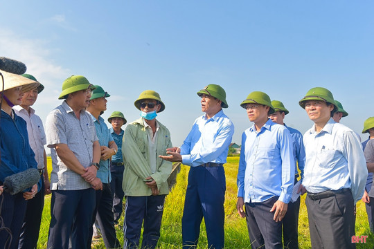 Từng bước kiến tạo nền nông nghiệp hiện đại