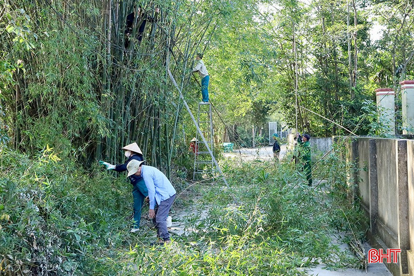 Description: bqbht_br_1.jpg