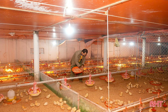 Trường Lưu triển khai hiệu quả 175 mô hình kinh tế 